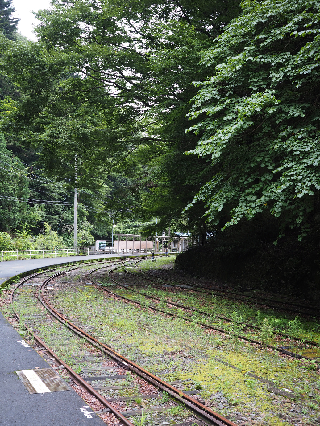 P8260491.jpg