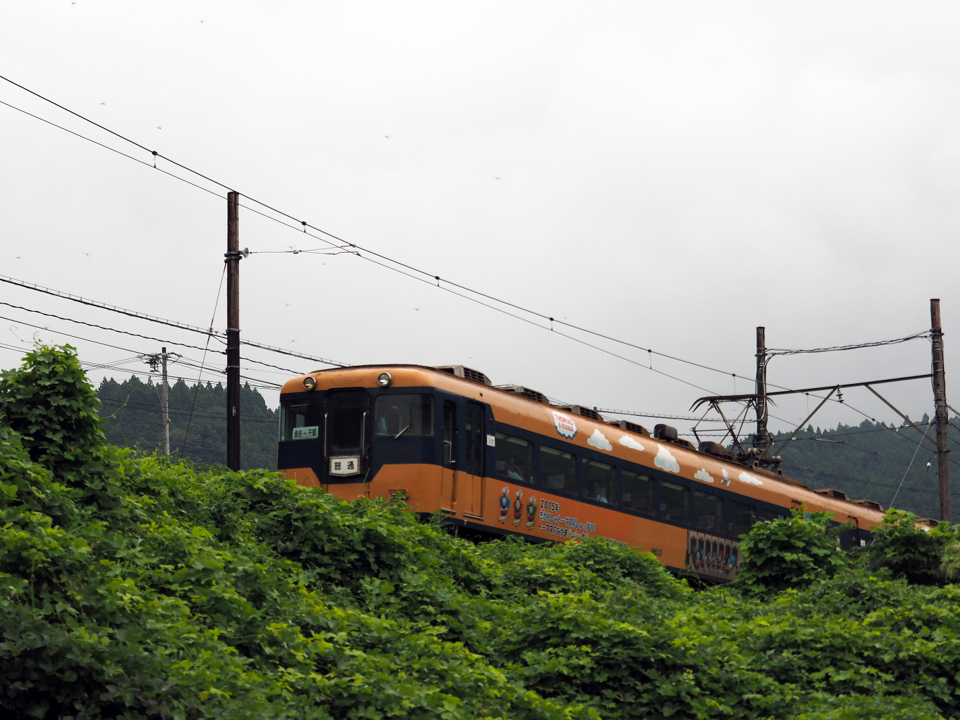 P8270531.jpg