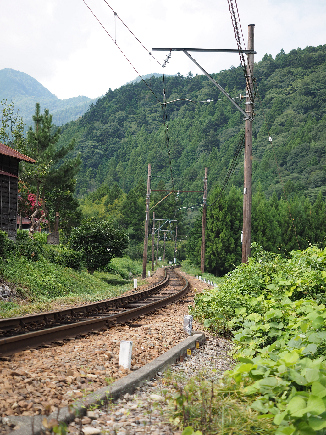 P8270615.jpg