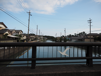 P8270798_thumb.png