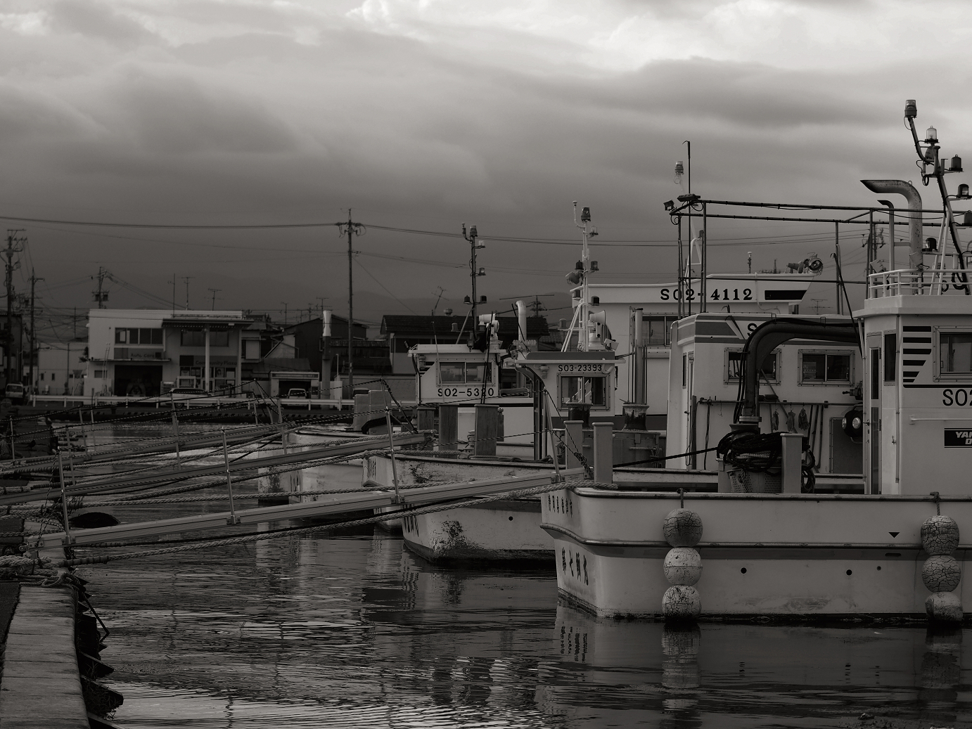P8270825-.jpg