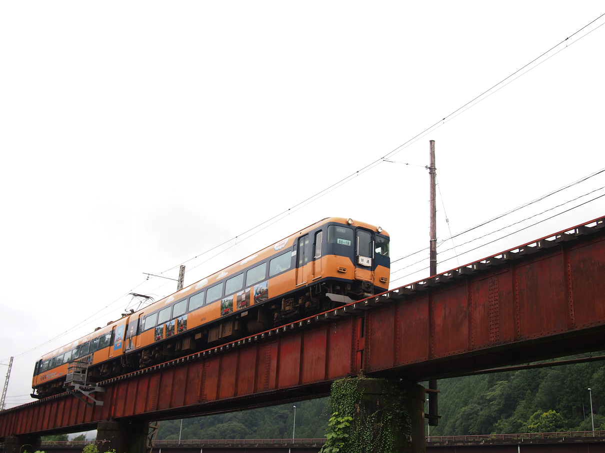 P8273943.jpg