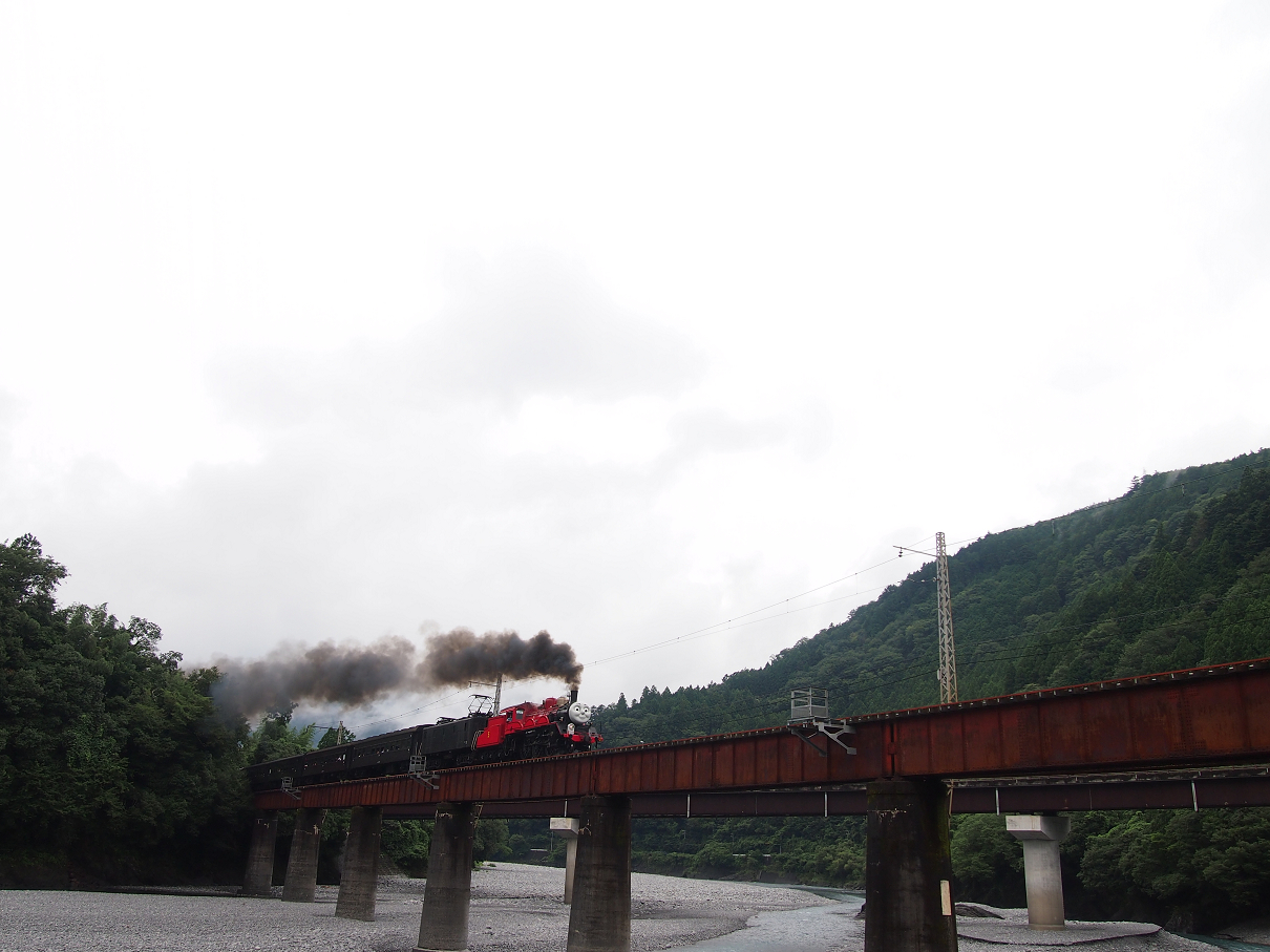 P8273947.jpg