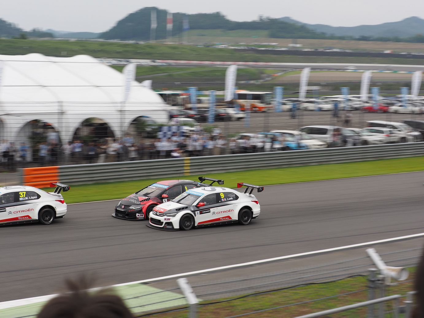 P9130418.jpg