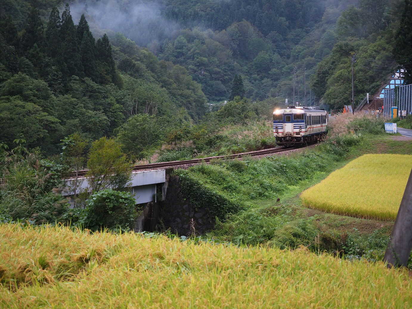 P9190027.jpg