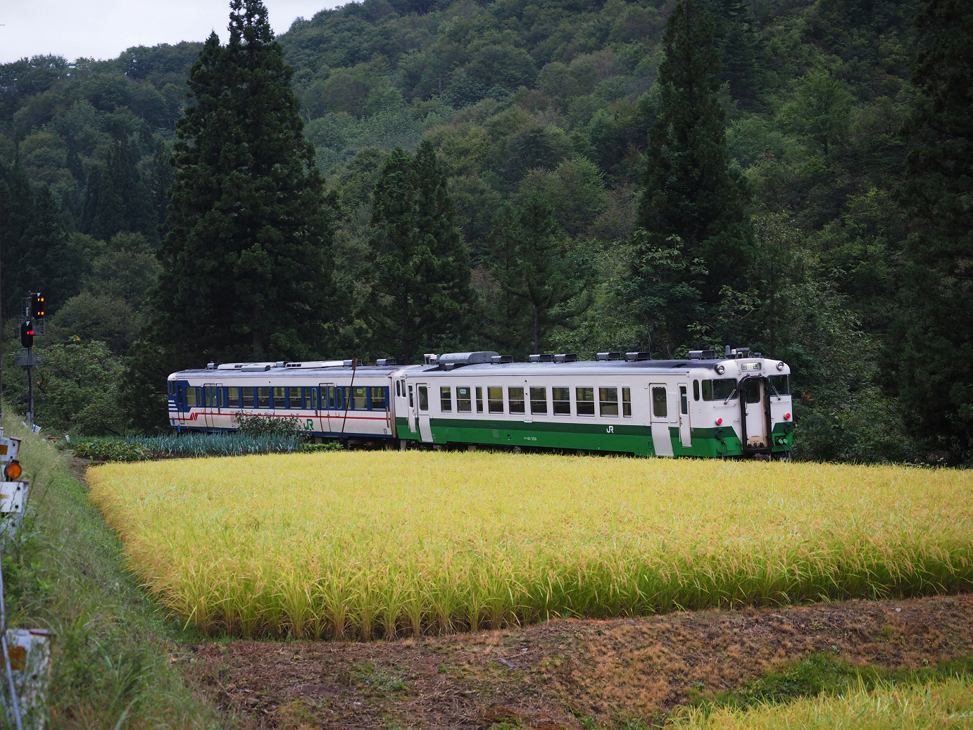 P9190030.jpg