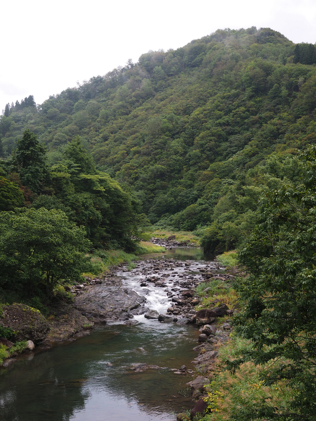P9190034.jpg