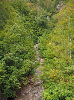 P9190050_thumb.png