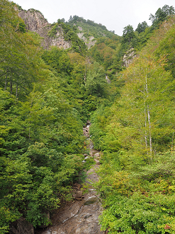P9190051_thumb.png