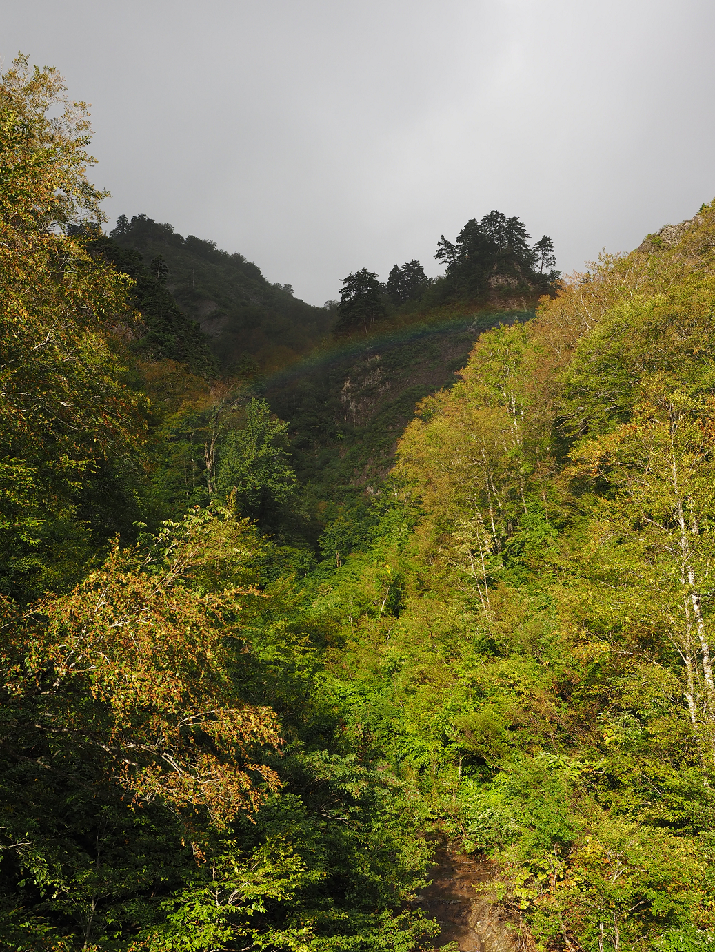 P9190055.jpg