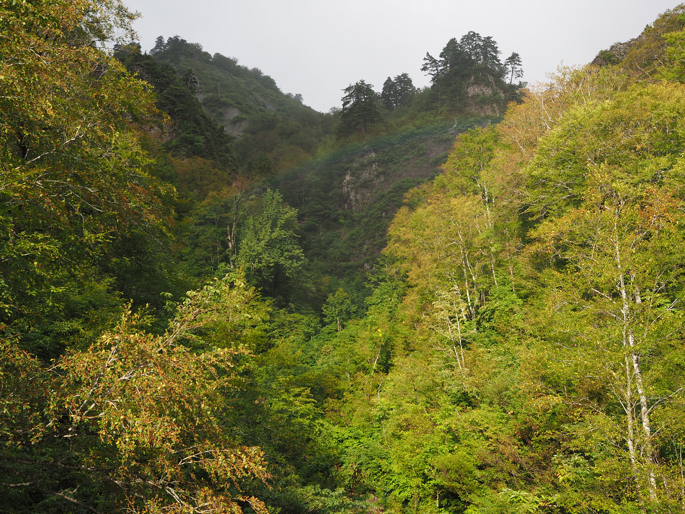 P9190057.jpg