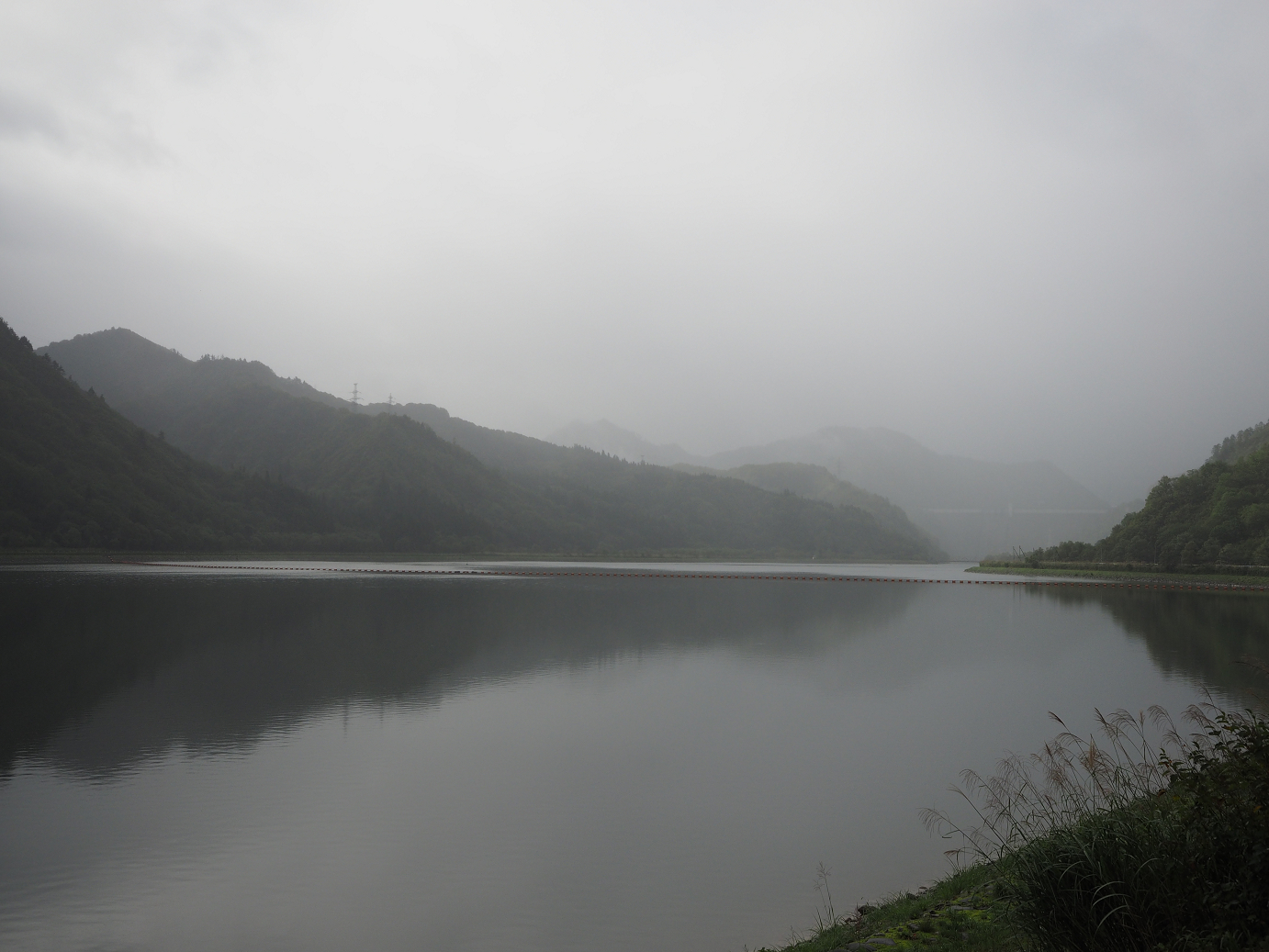P9190113.jpg