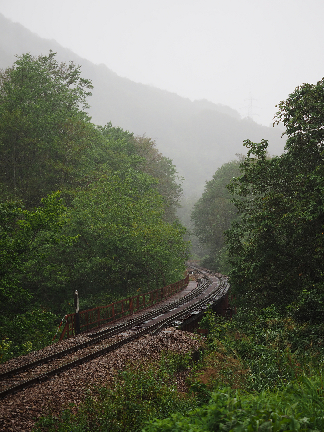 P9190120.jpg