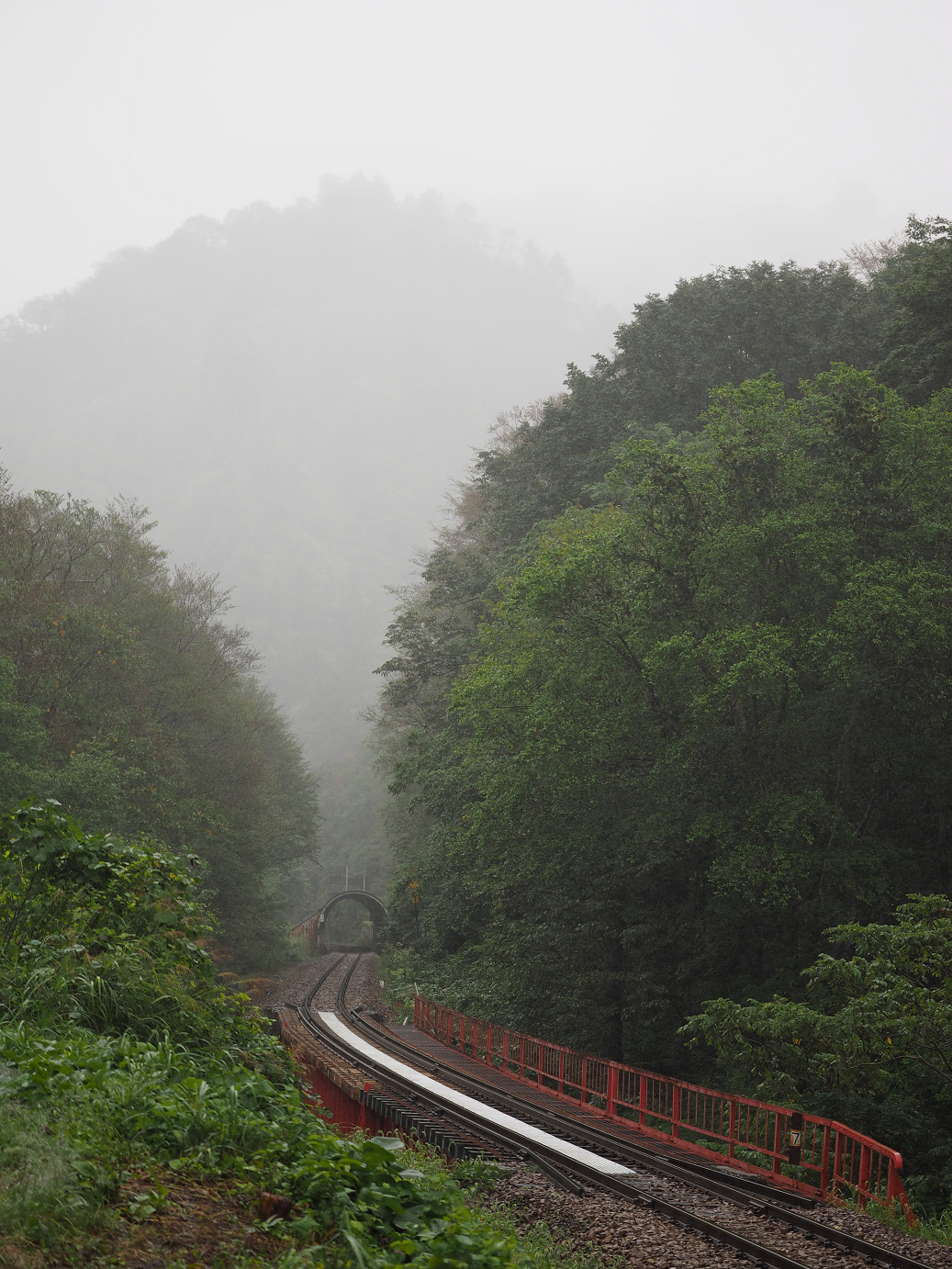 P9190124.jpg