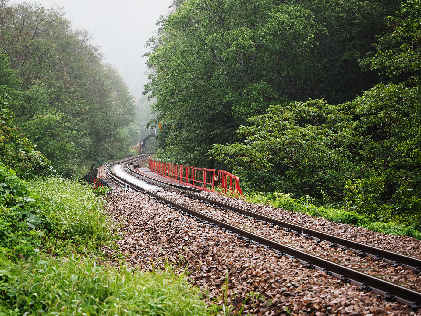 P9190126.jpg