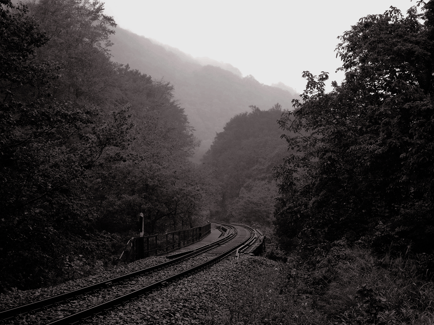 P9190129.jpg