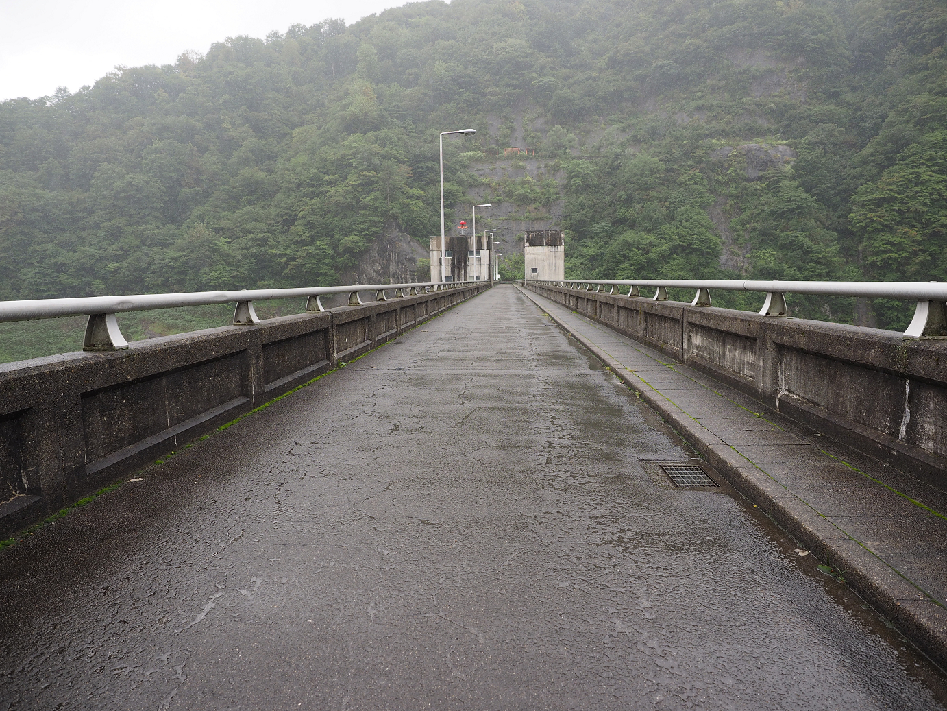 P9190130.jpg