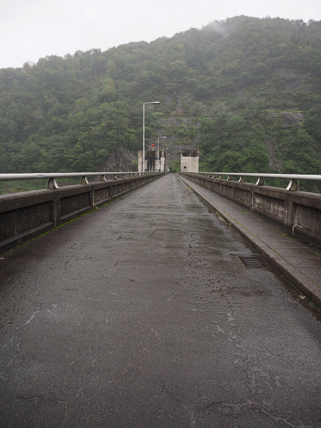 P9190131.jpg