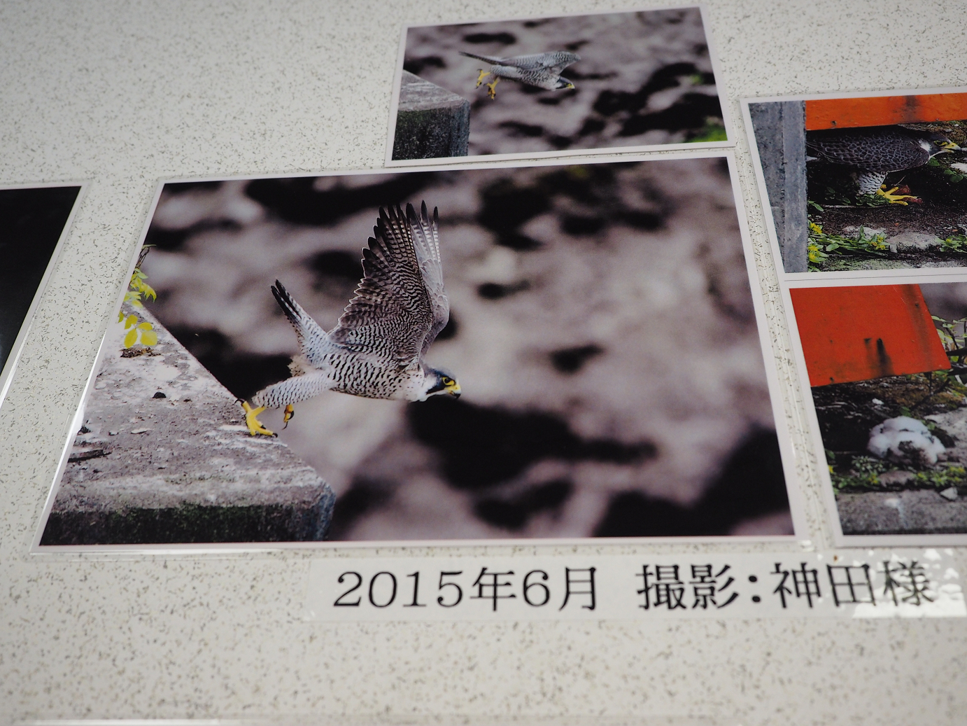 P9190138.jpg