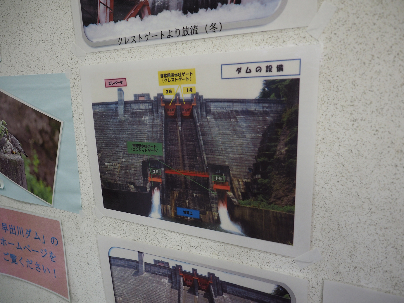P9190140.jpg