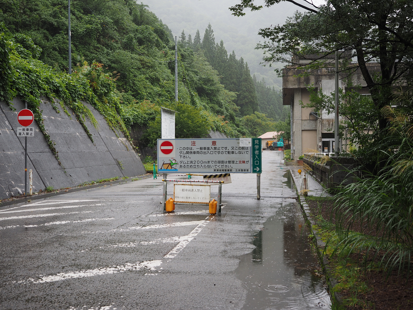 P9190160.jpg