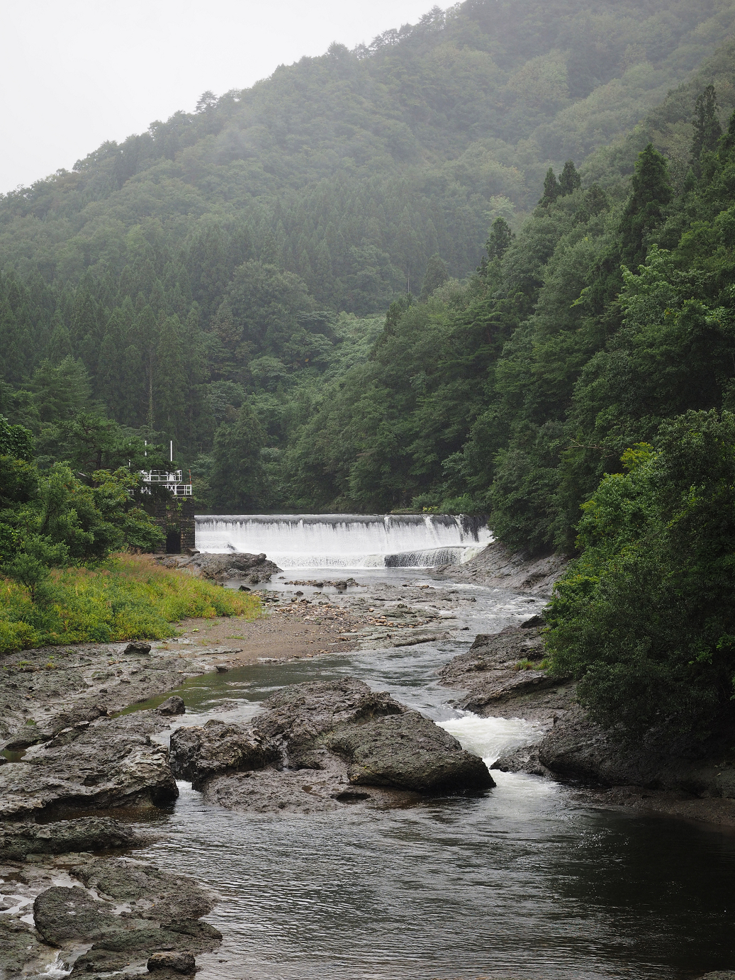 P9190164.jpg