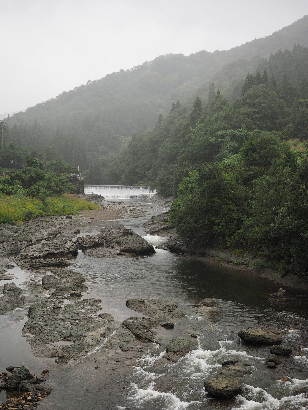 P9190166.jpg