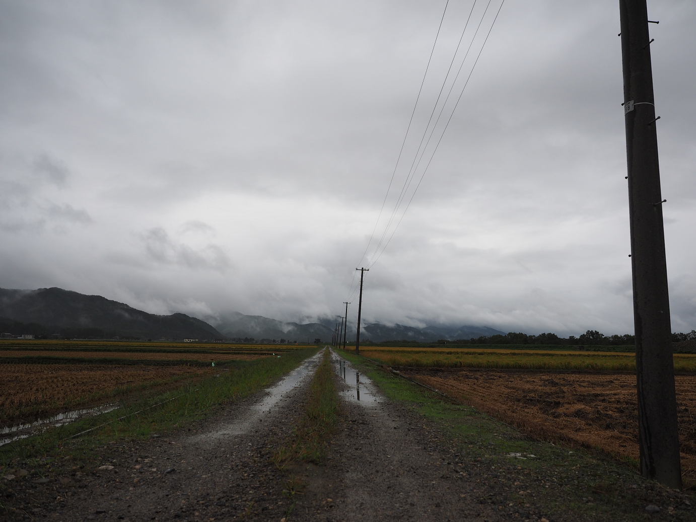 P9190175.jpg