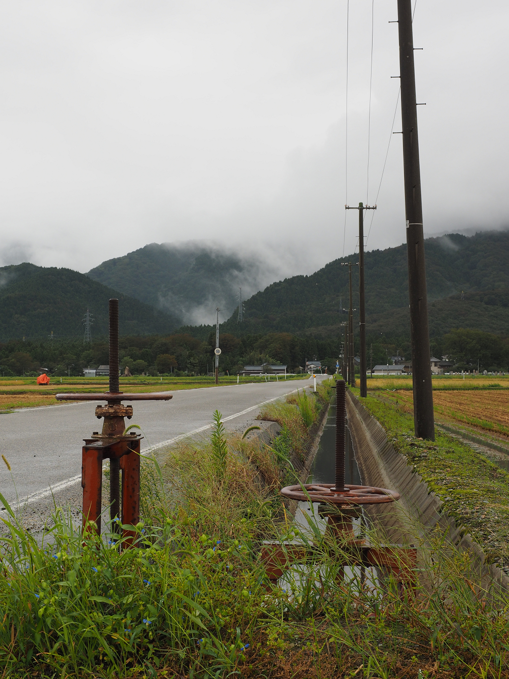 P9190183.jpg