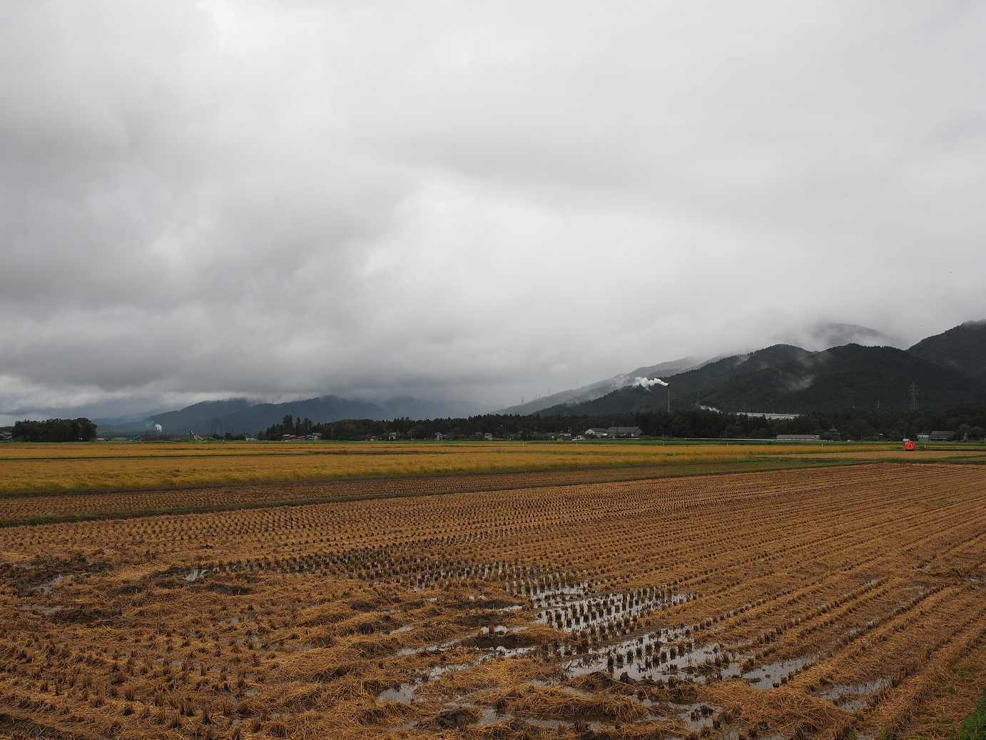 P9190186.jpg