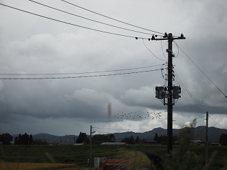 P9190197_thumb.png