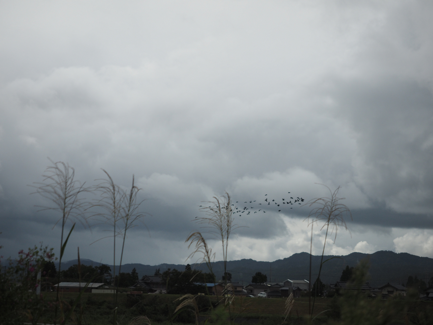 P9190198.jpg
