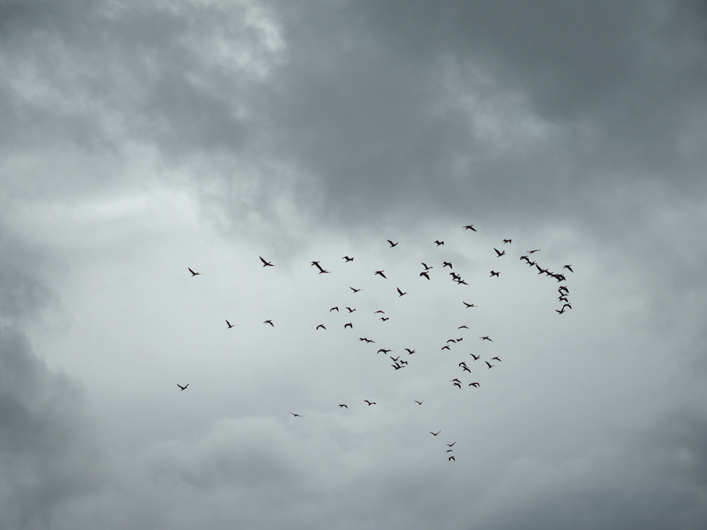 P9190200.jpg