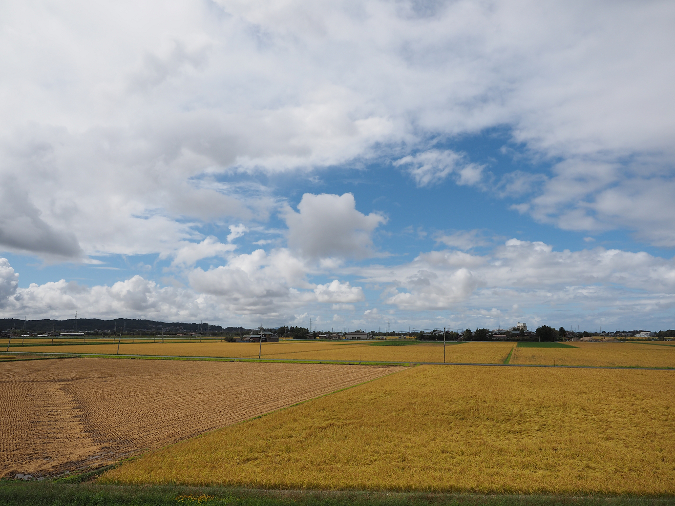 P9190204.jpg