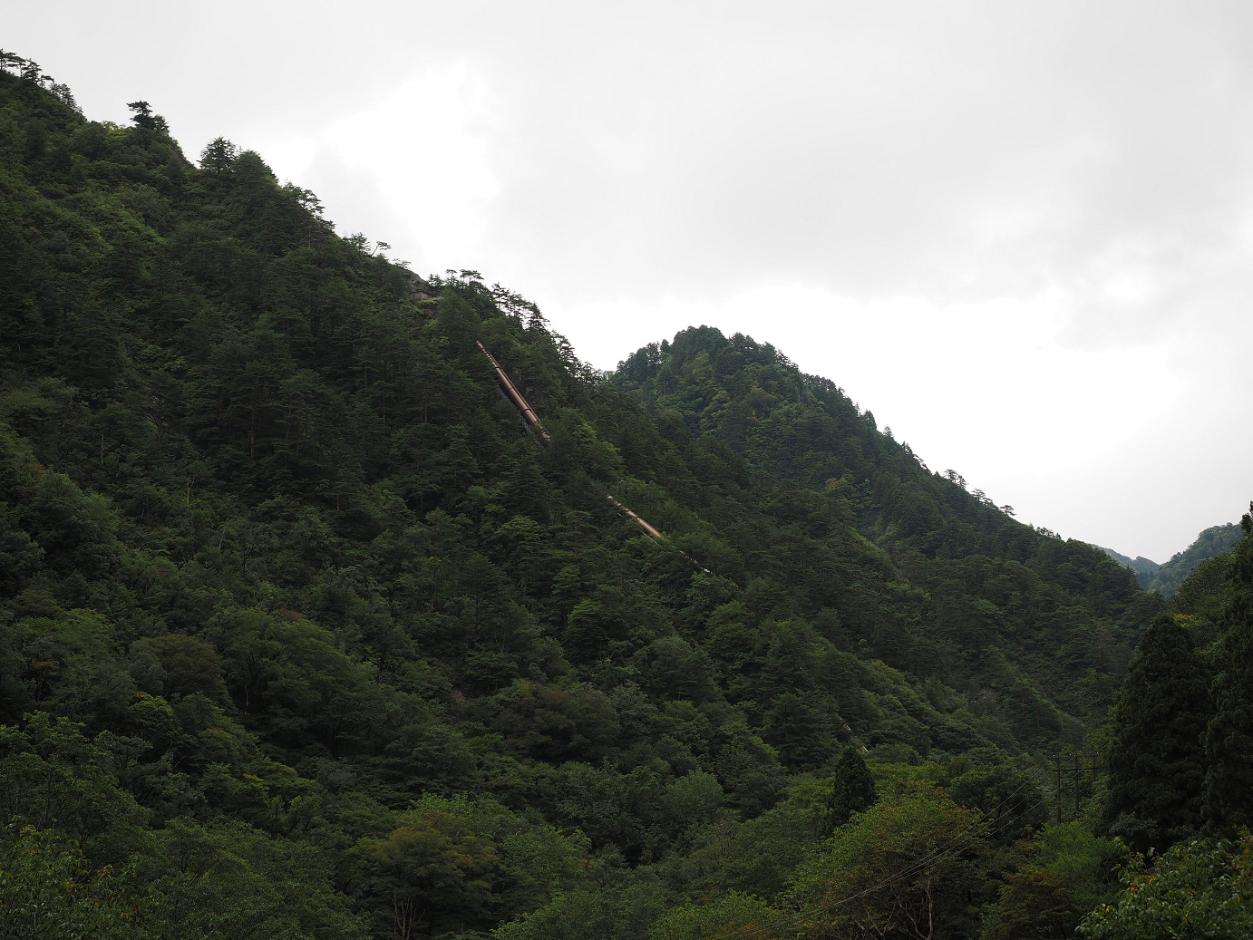 P9190210.jpg