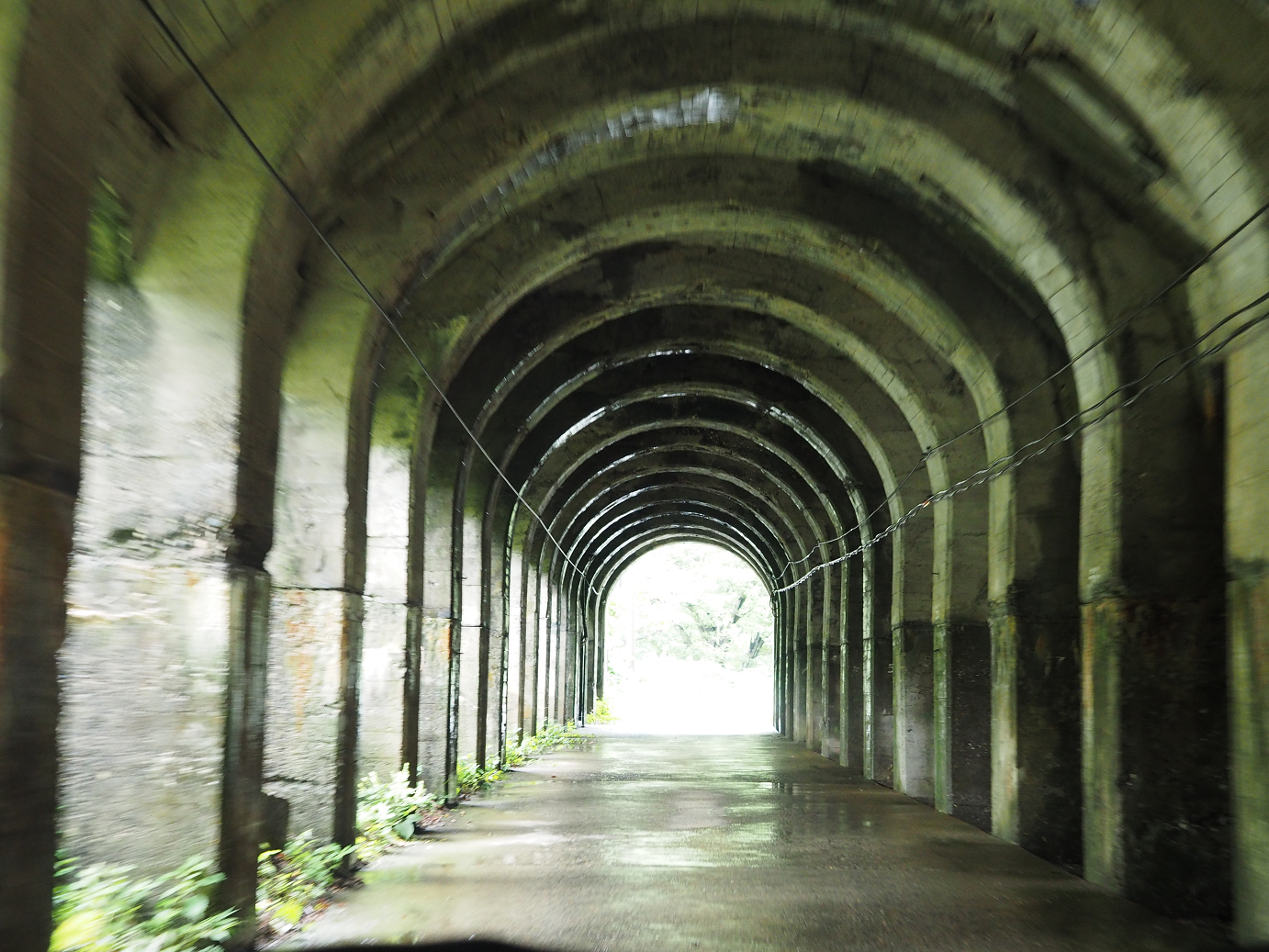 P9190220.jpg