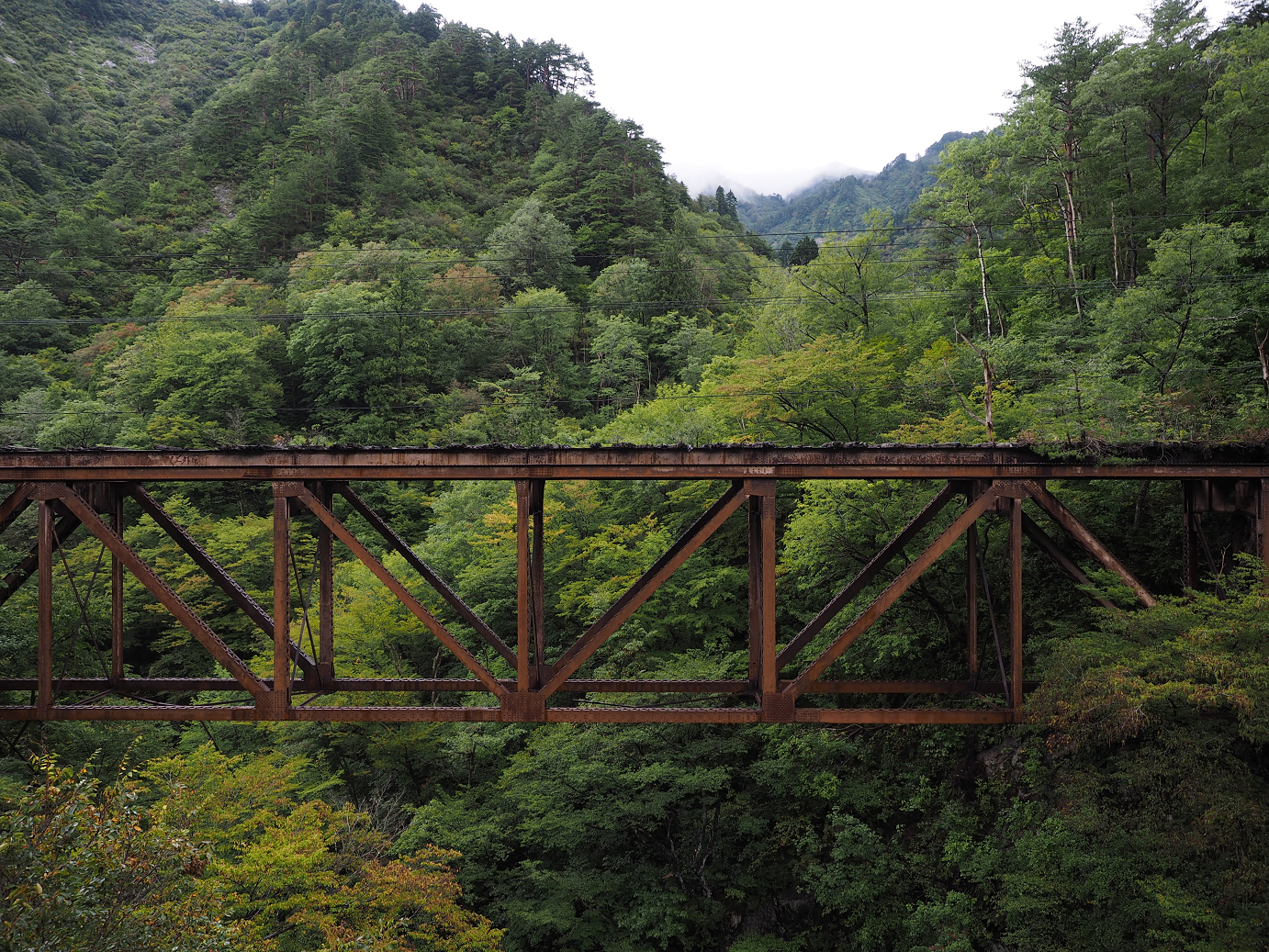 P9190231.jpg