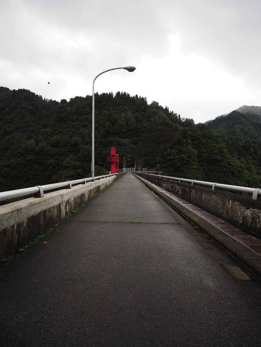P9190236.jpg