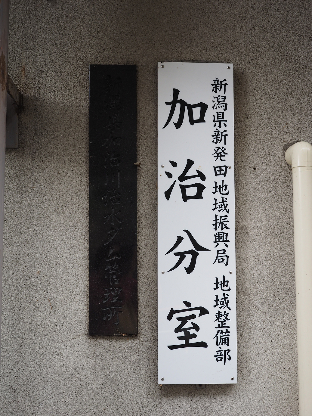 P9190238.jpg