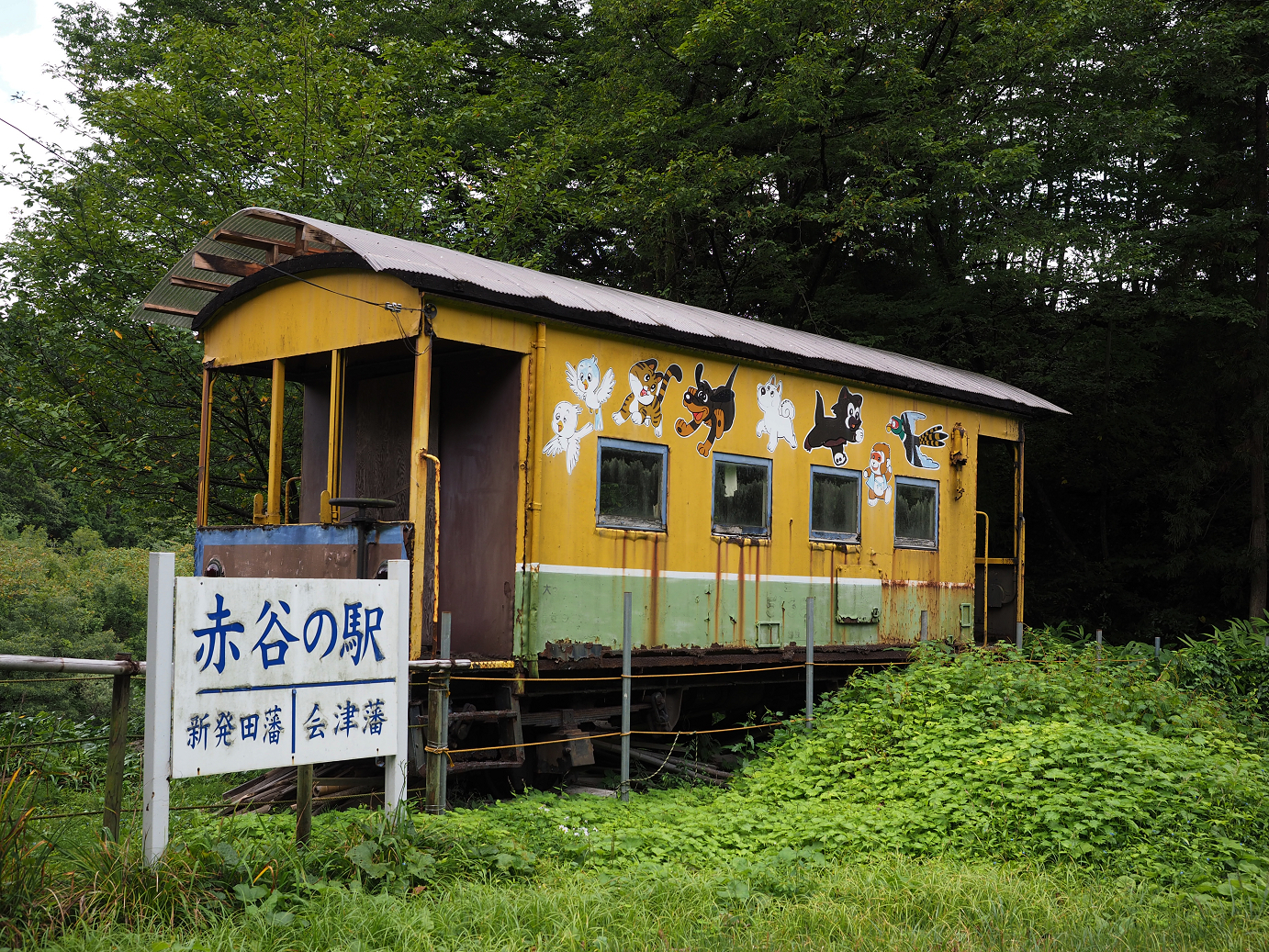 P9190292.jpg