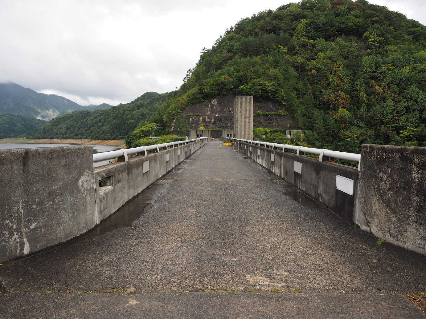 P9190316.jpg
