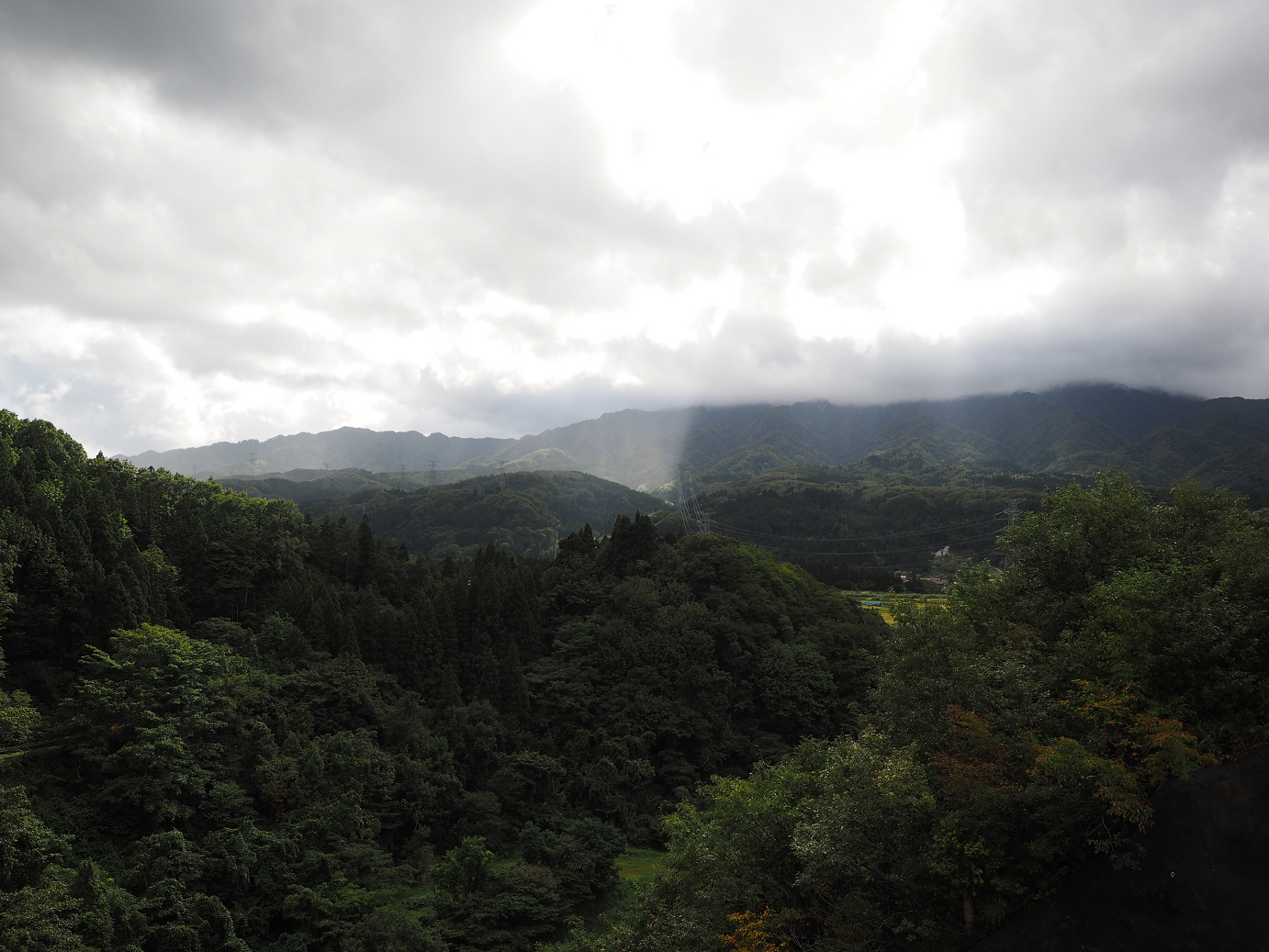 P9190326.jpg