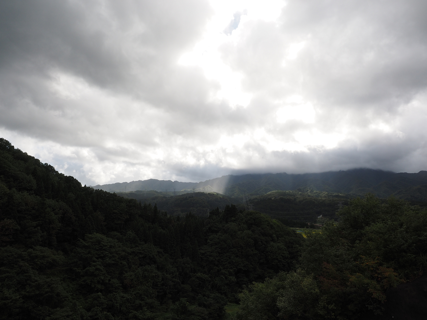 P9190333.jpg