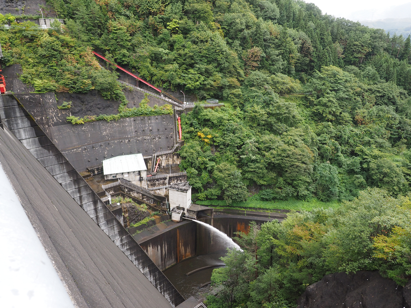 P9190334.jpg