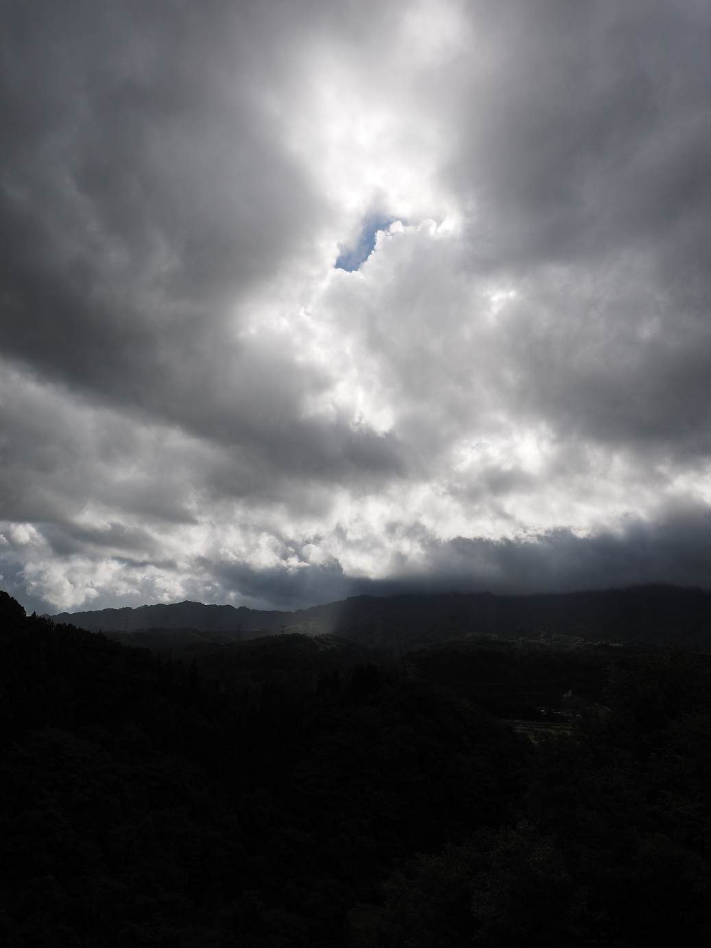 P9190336.jpg