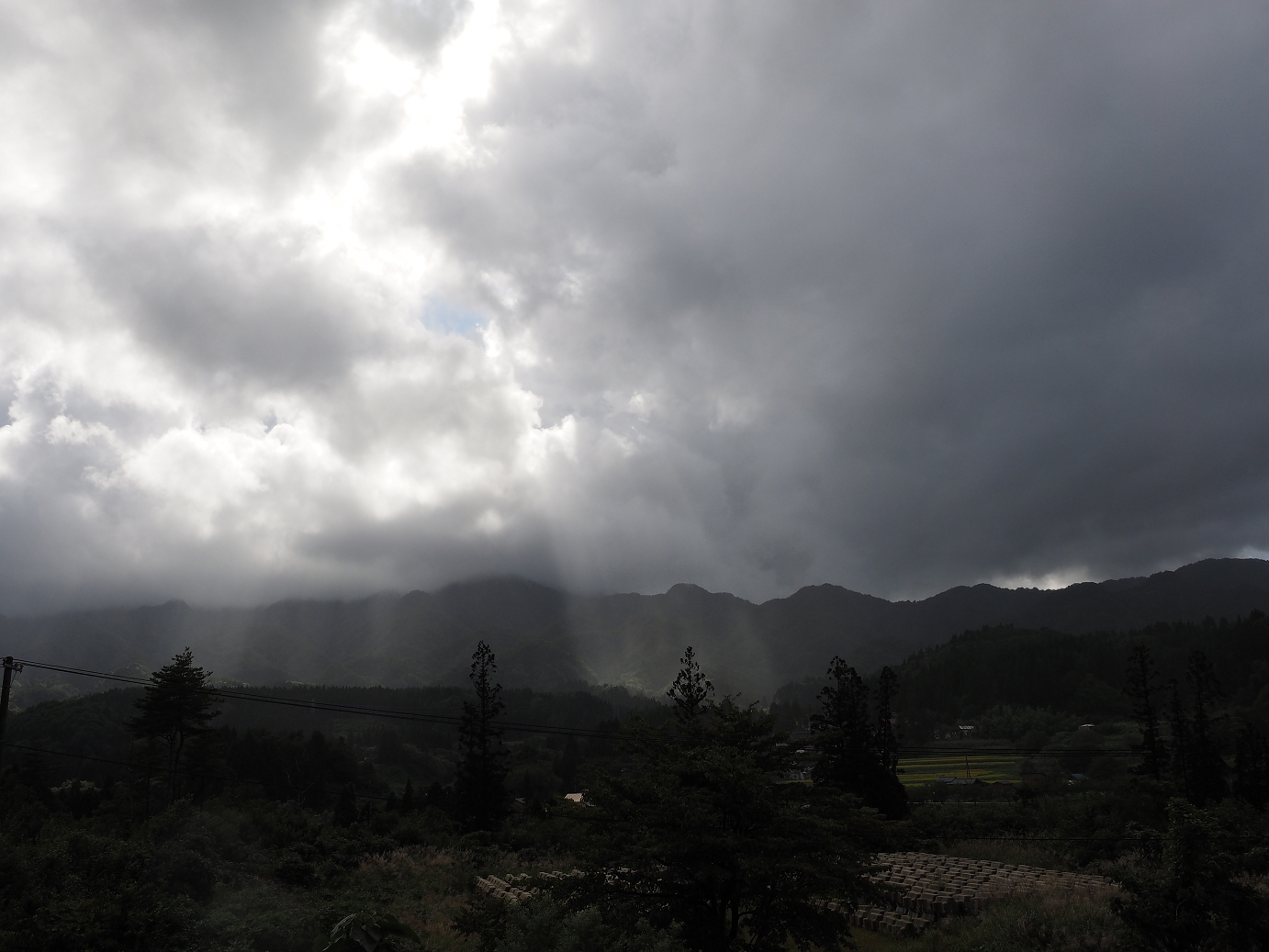 P9190339.jpg