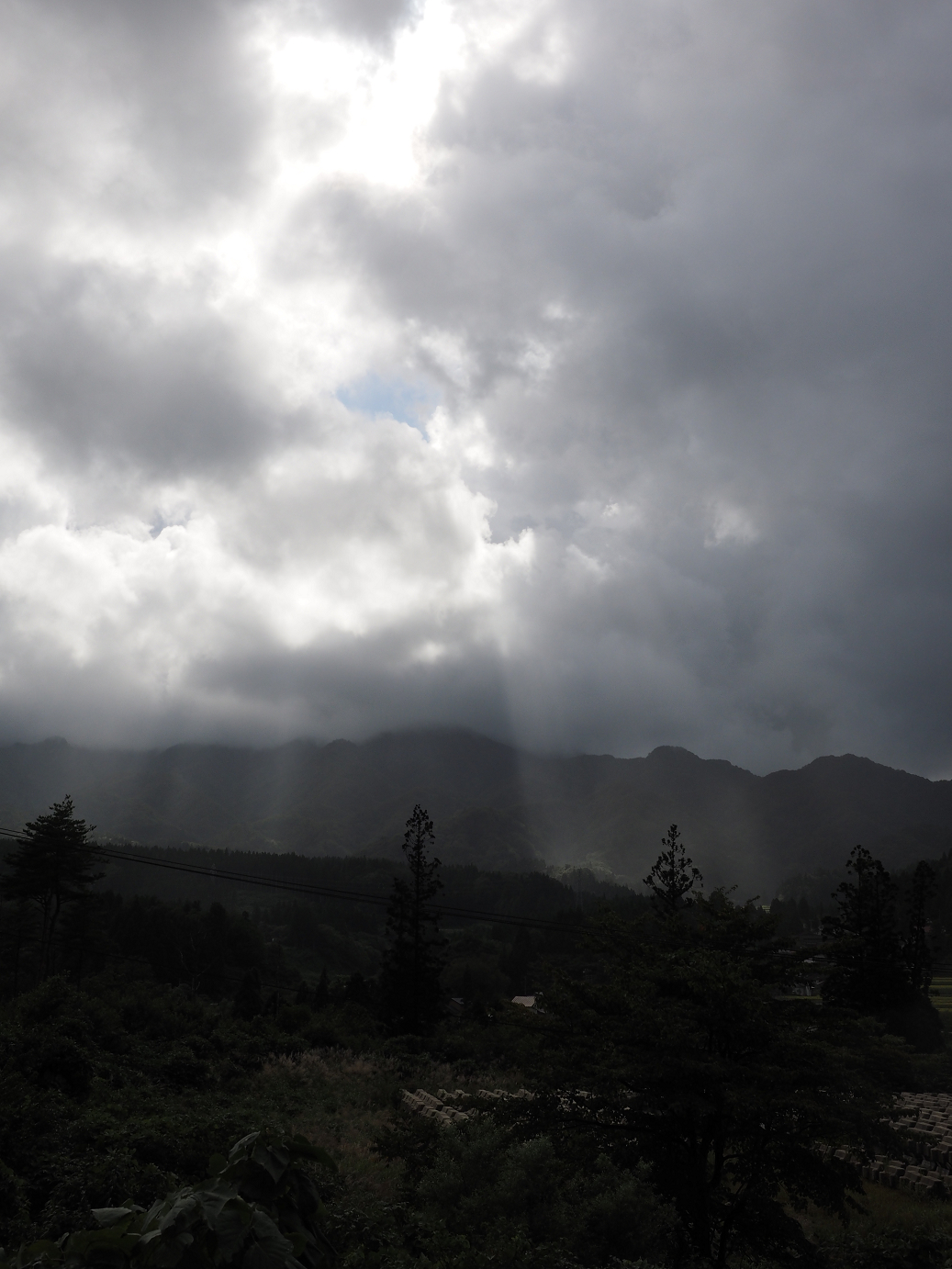 P9190341.jpg
