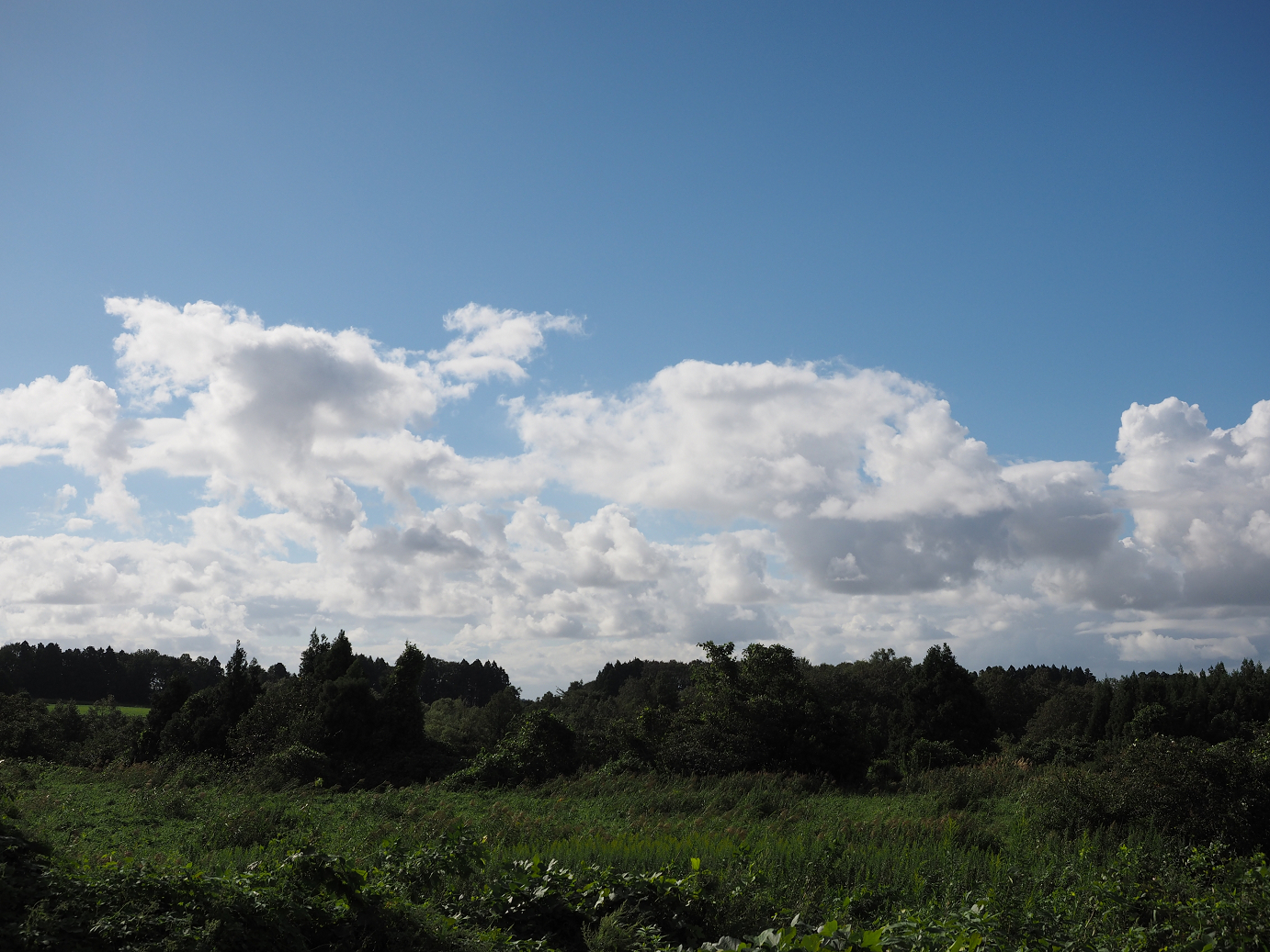 P9190352.jpg