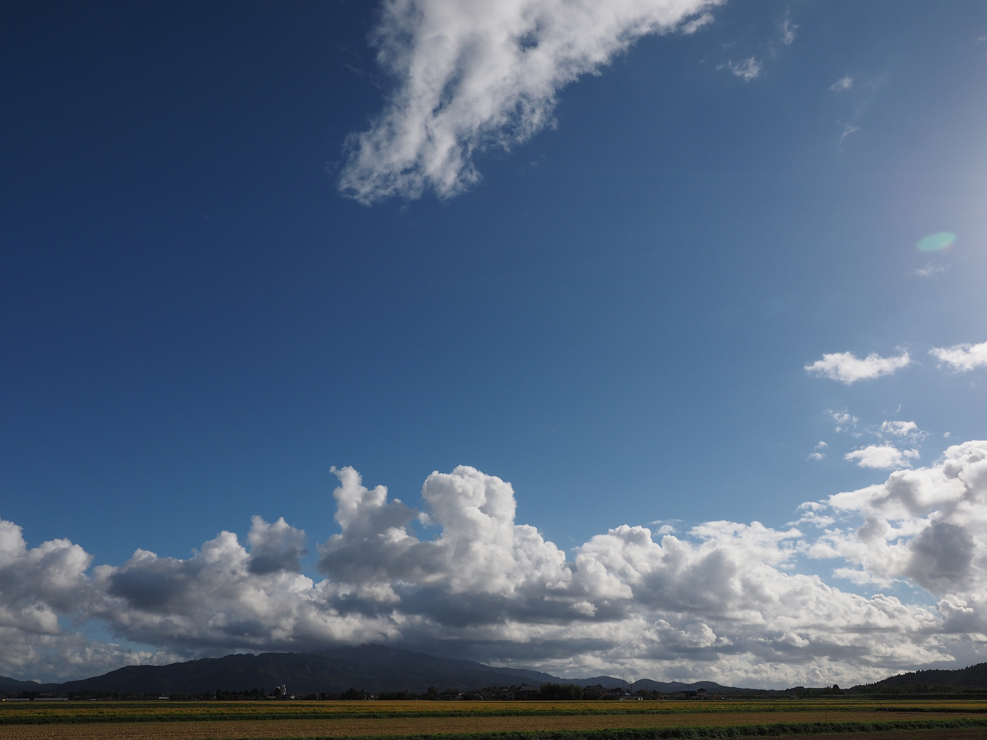 P9190400.jpg