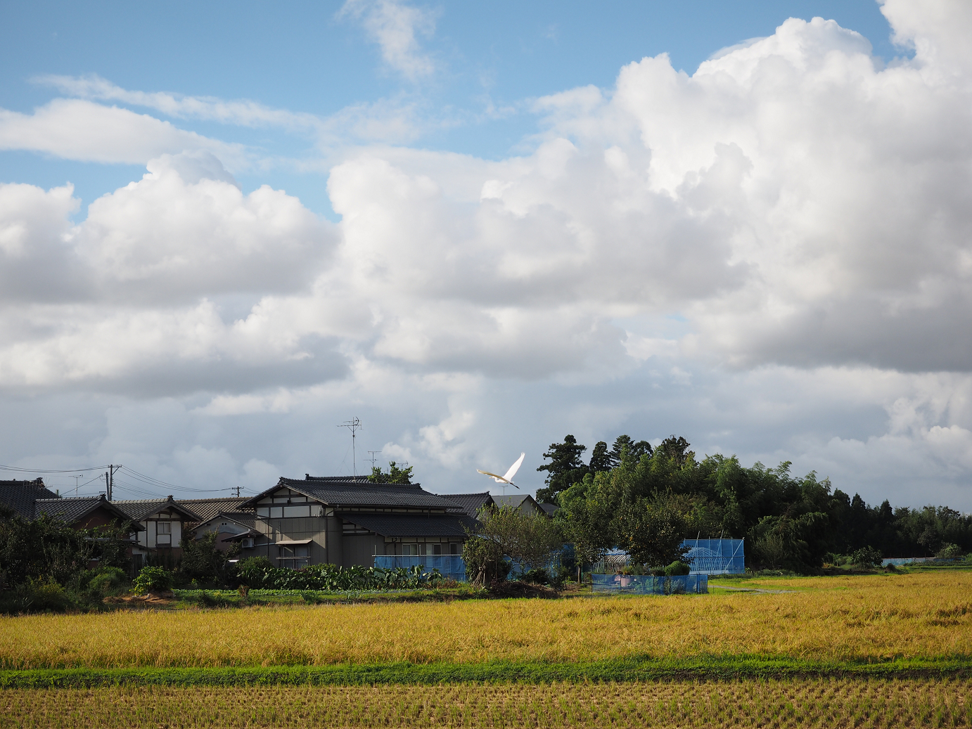 P9190412.jpg